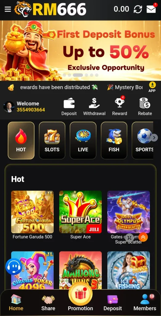 RM666 Game interface screenshot image.